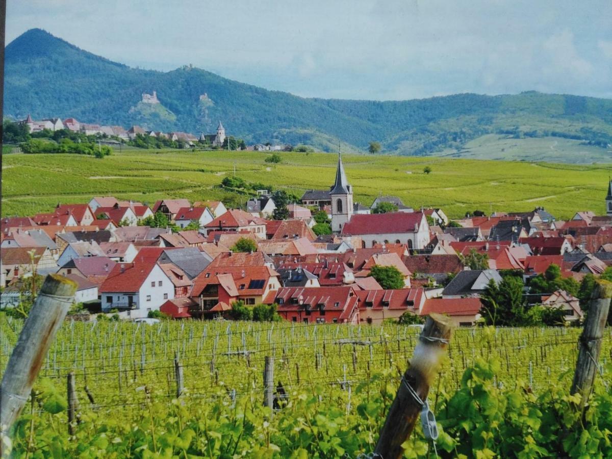 Gites Marschall Jean-Pierre Beblenheim Eksteriør bilde